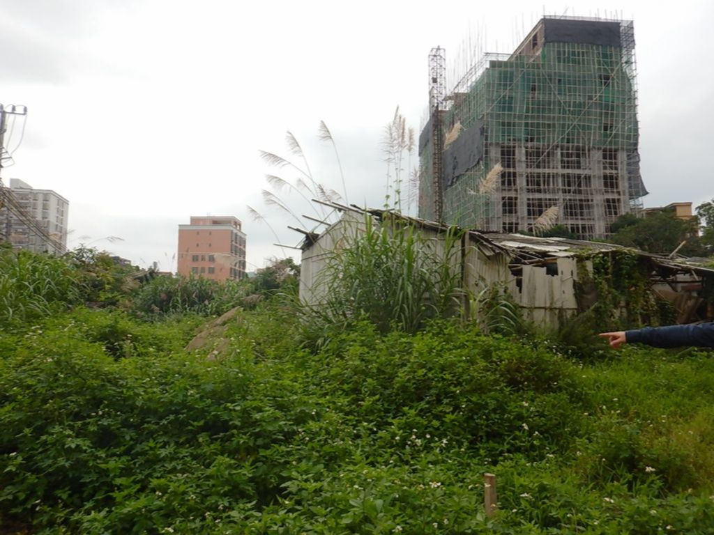 龙光地产2020年收1200亿,龙光再次拿下龙华地王