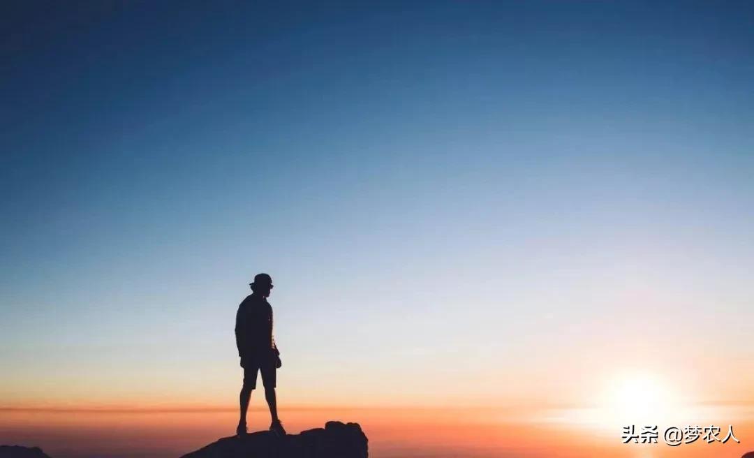等春暖花开武汉看樱花朋友圈说说,春暖花开我们一起去看樱花烂漫