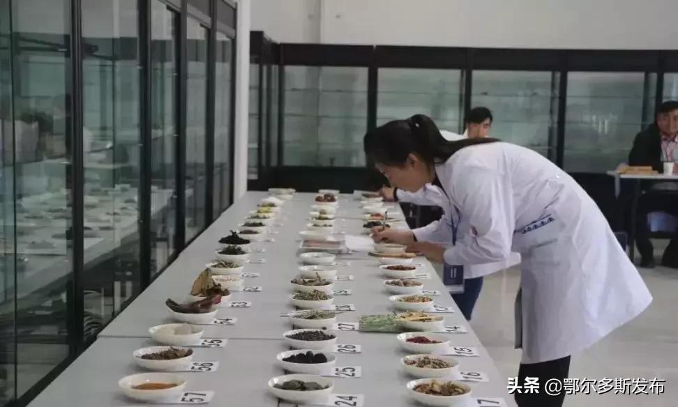 让群众看好病,让普通老百姓看得起病