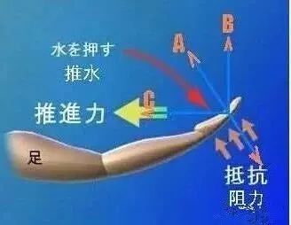 速泳25米自由泳速成,抬头式自由泳的速成方法