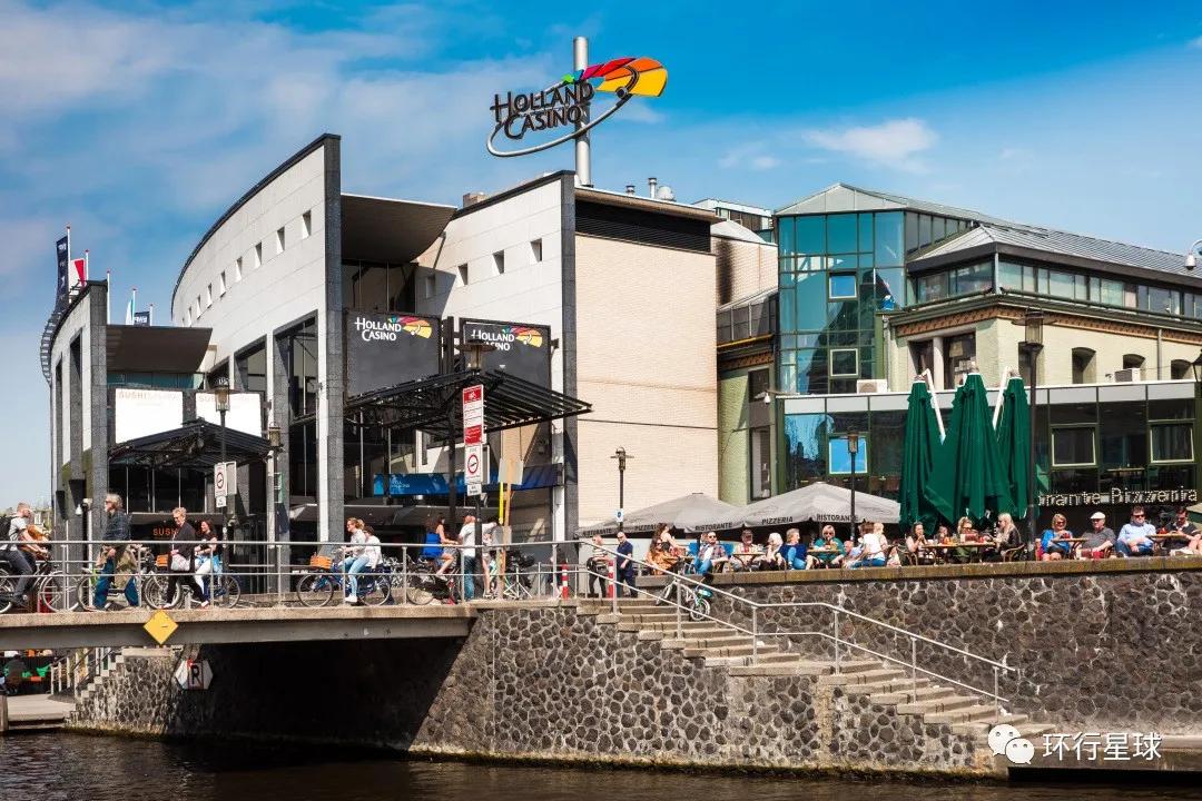 韭菜电动多用收割机,韭菜收割机商业模式