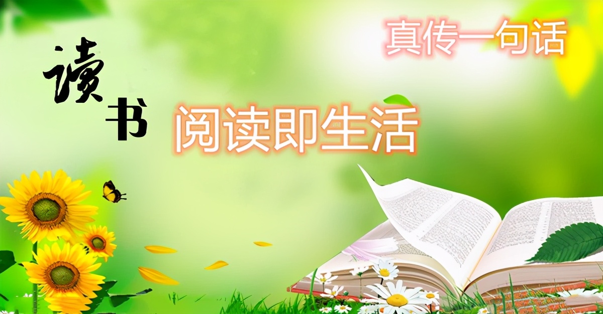 专业玩彩福彩3D周刊2021181到2021187期