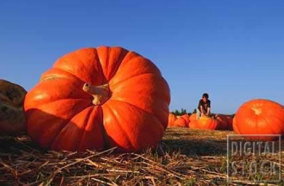 中国商业航天怎么赚钱的,航天业怎么赚钱