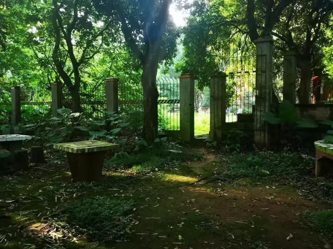 玉兰公园早期样子,玉兰公园昔日的辉煌