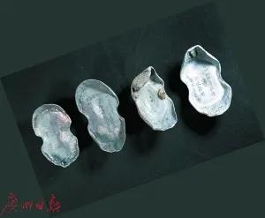 挖宝现场完整视频,挖宝的视频