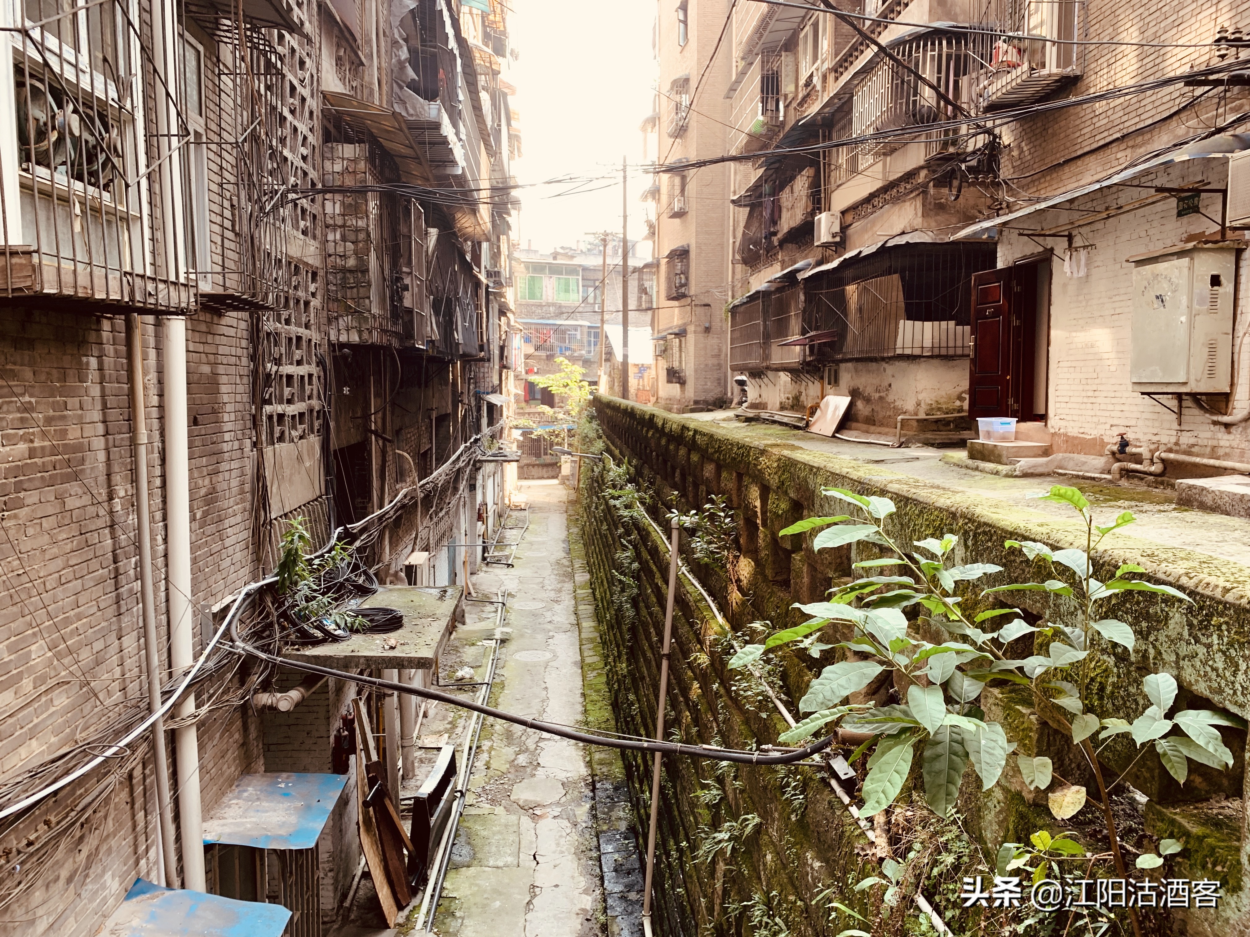 七旬老人讲述烈士的故事,七旬老人的传奇故事