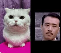 捡了一只流浪狗黑色泰迪,捡到一只流浪雪纳瑞