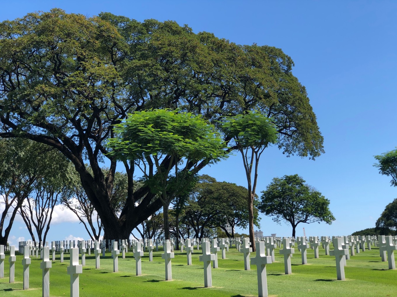 实弹射击or公墓拍大片？| 跟90后小伙儿在马尼拉“玩儿很野”