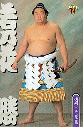 日本相扑文化全集,日本大相扑视频完整版