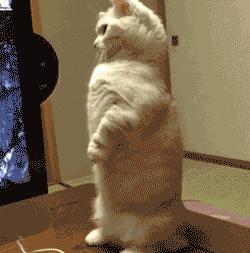 败家老娘搞笑图片,放开老娘的搞笑图片