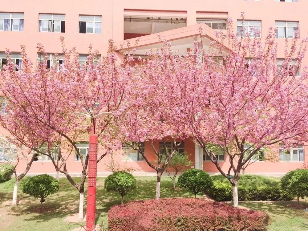 西安最牛的高考中学,2018西安最牛初中排名