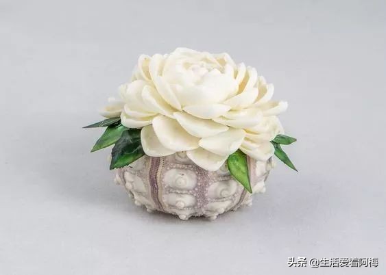 在贝壳里做上好看的装饰,简单的贝壳的工艺品