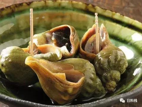 峨螺是什么,厚重峨螺