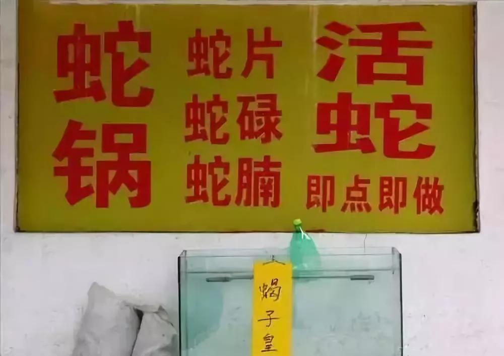 伊斯兰教人为什么不吃大肉,伊斯兰为何不吃驴肉