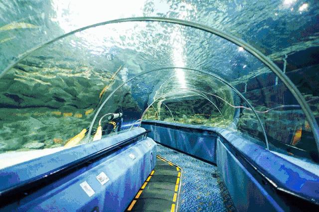 北京富国洋海底世界图片,北京富国海底世界攻略