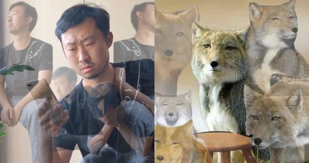 无穷小亮出圈,抖音科普创作者爆火有何方*论法**?