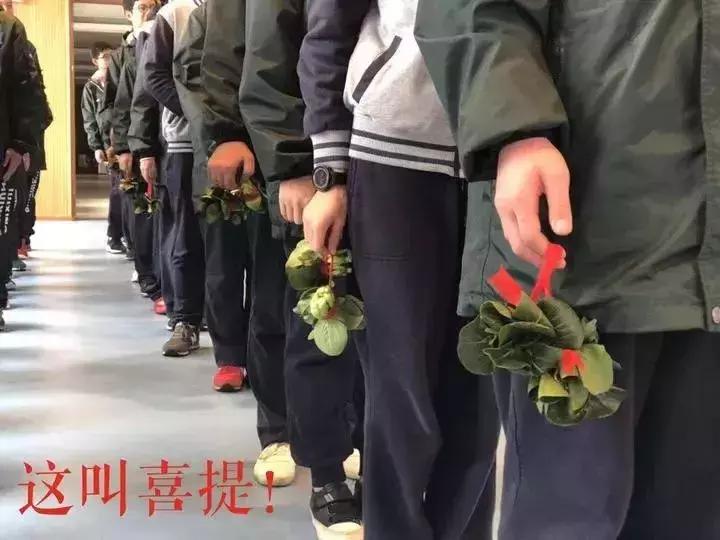 学生奇葩奖品,学校奇葩奖品排行