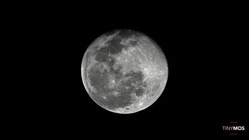 嫦娥四号在月球背面发现了宝物,嫦娥四号在月球背面发现了什么