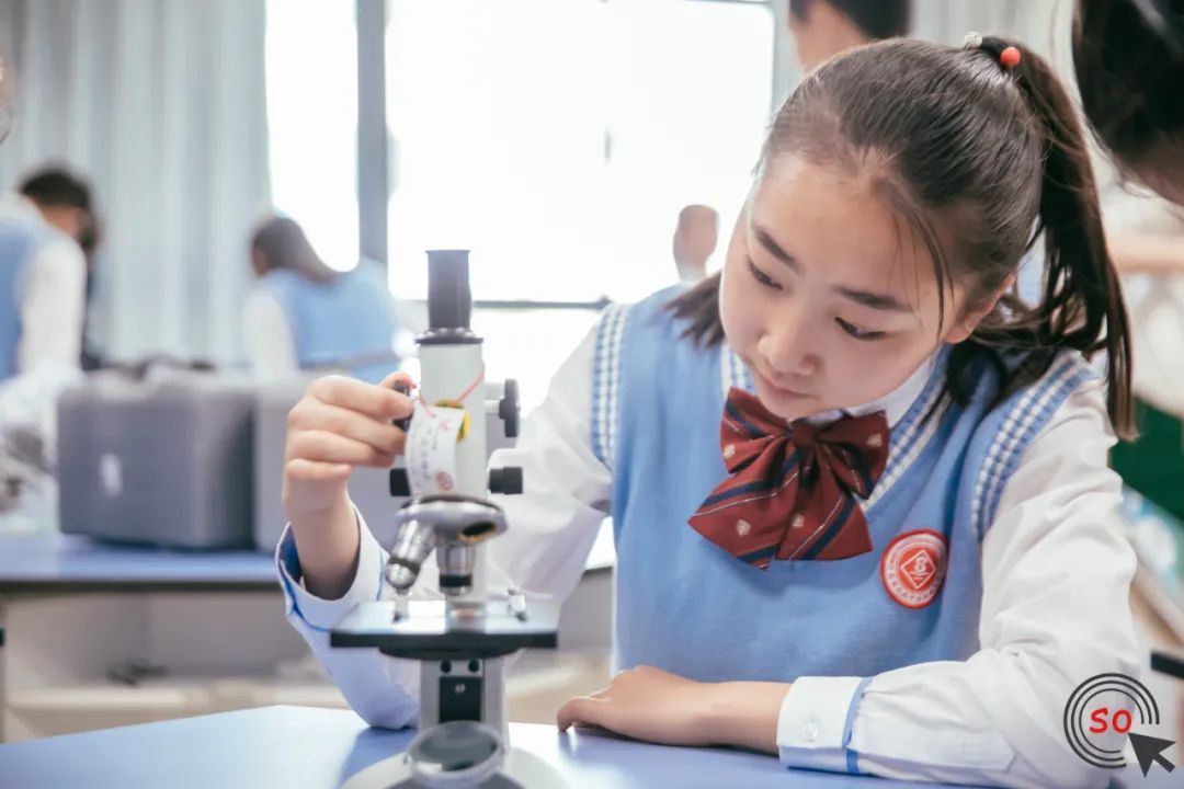 长城新城学校二期,长城新城校区