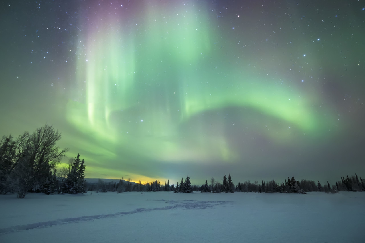 永恒的投机之王,张昊天投机之王