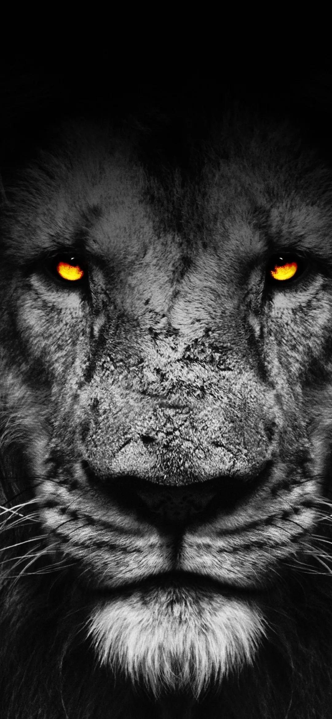 iphone壁纸经典,iphone壁纸官方