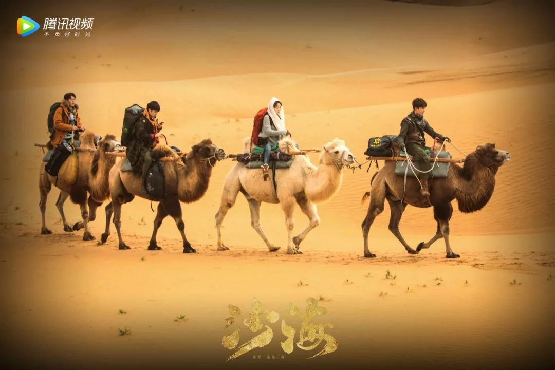 听完这些歌就能释怀了吗,听完这些歌能释怀吗