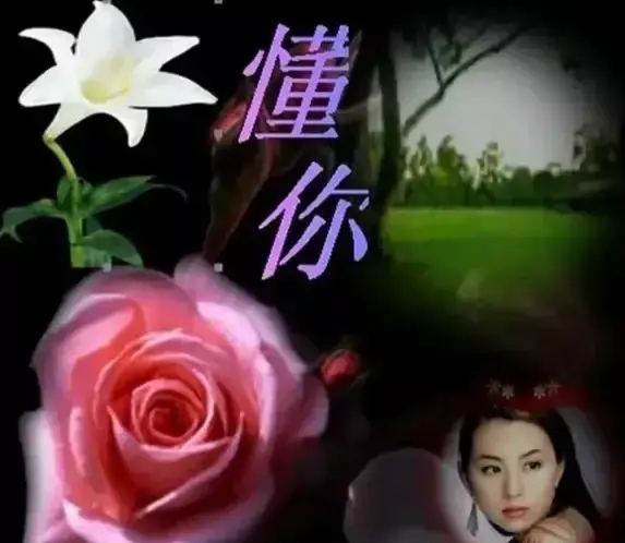 #情感诗文#原创《你若开心，我的爱便一如既往》