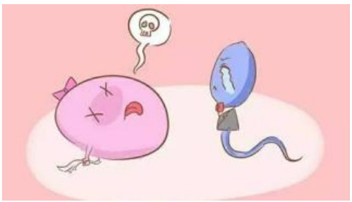 如何提高卵子质量?做到这7点,你也能轻松怀孕!