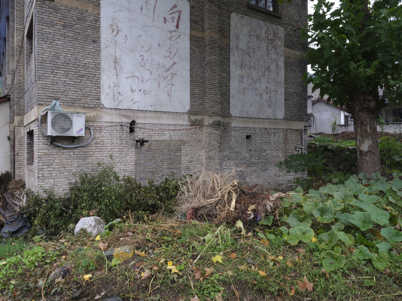 湖北三线军工厂982厂,湖北三线工厂名单717