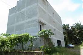 印尼燕窝的秘密是什么,印尼的燕窝是假的吗