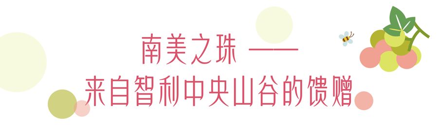 有玫瑰香气的葡萄,有玫瑰的香味的葡萄