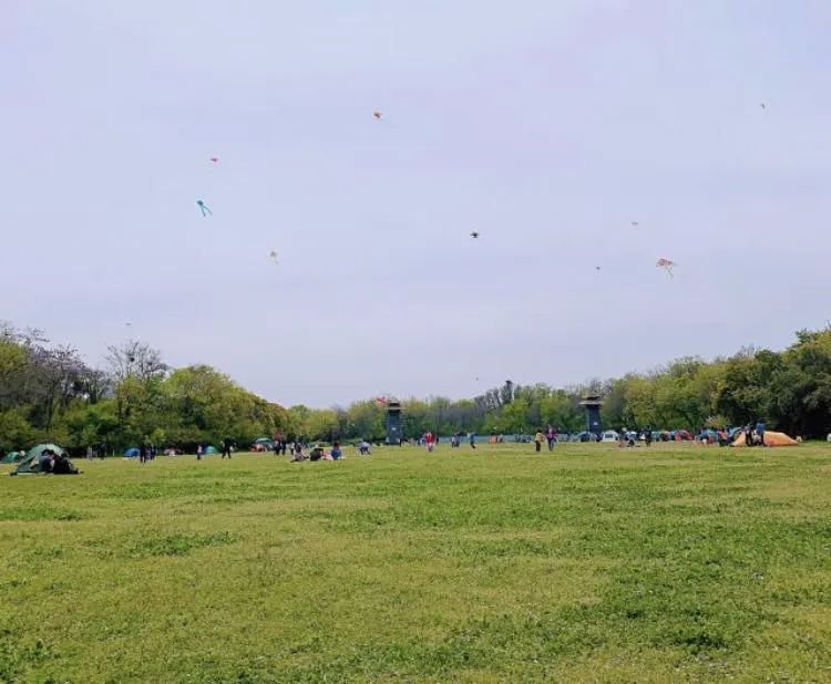 常州十大烧烤地方,常州踏青烧烤最佳攻略