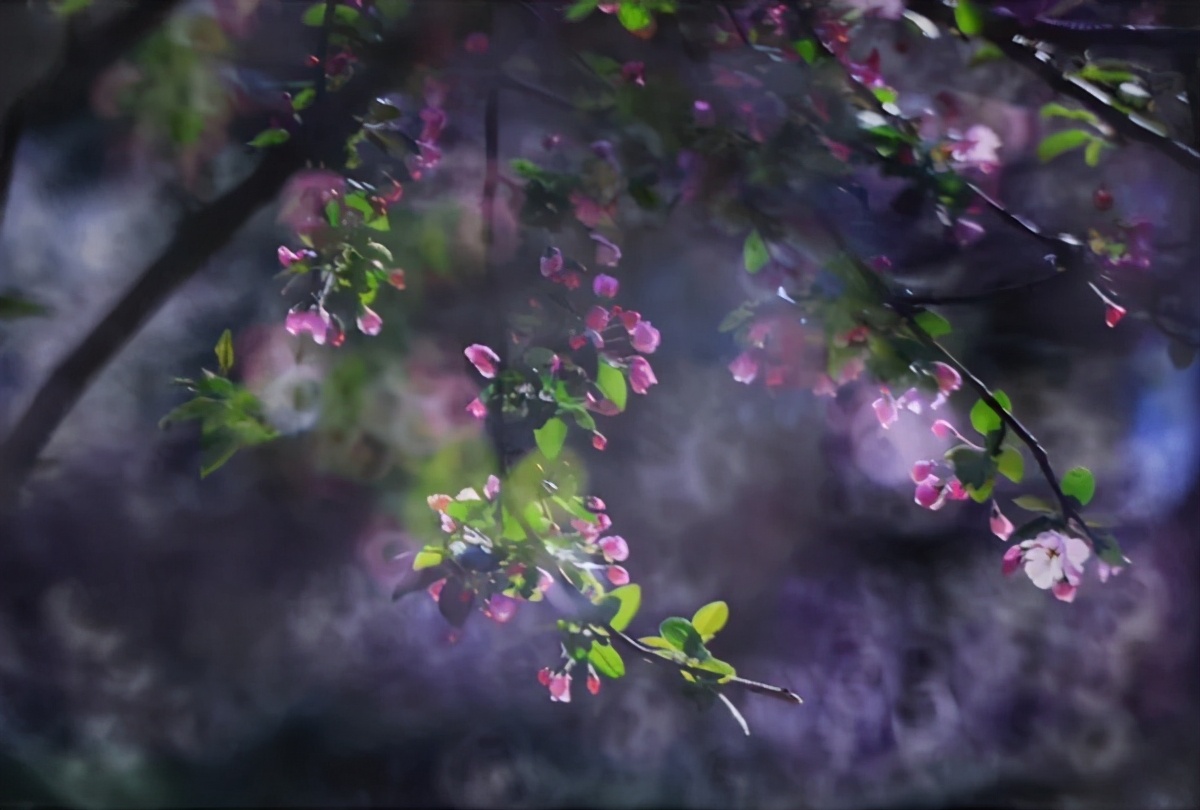 历经双甲子！北京交通大学：创造多项第一，坐拥轨道交通领域“硬核”实力！