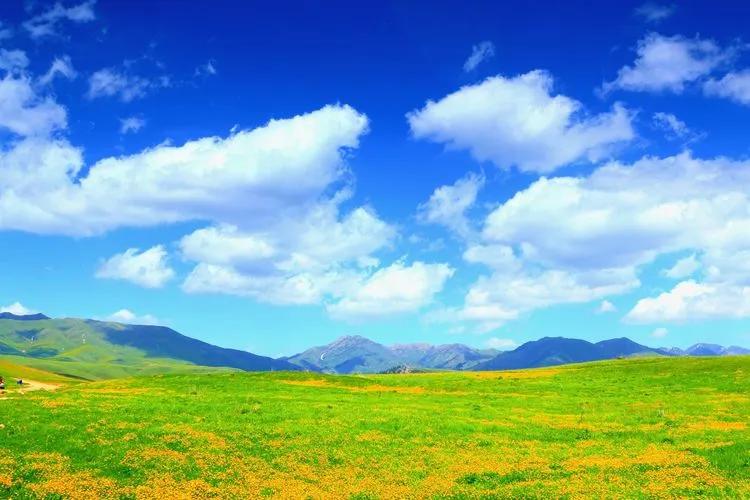 伊犁最美的50处绝色美景,伊犁最美的小众景点