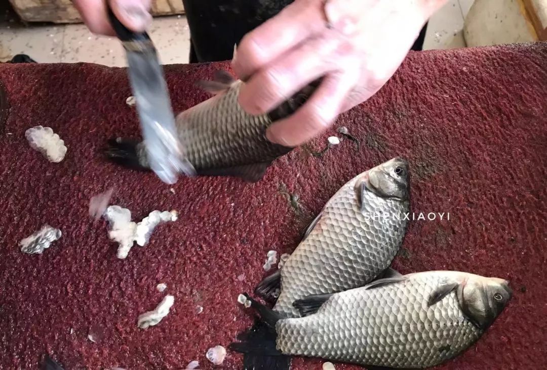 清汤鱼要怎么煮汤才会白,如何让鱼煮得更白汤