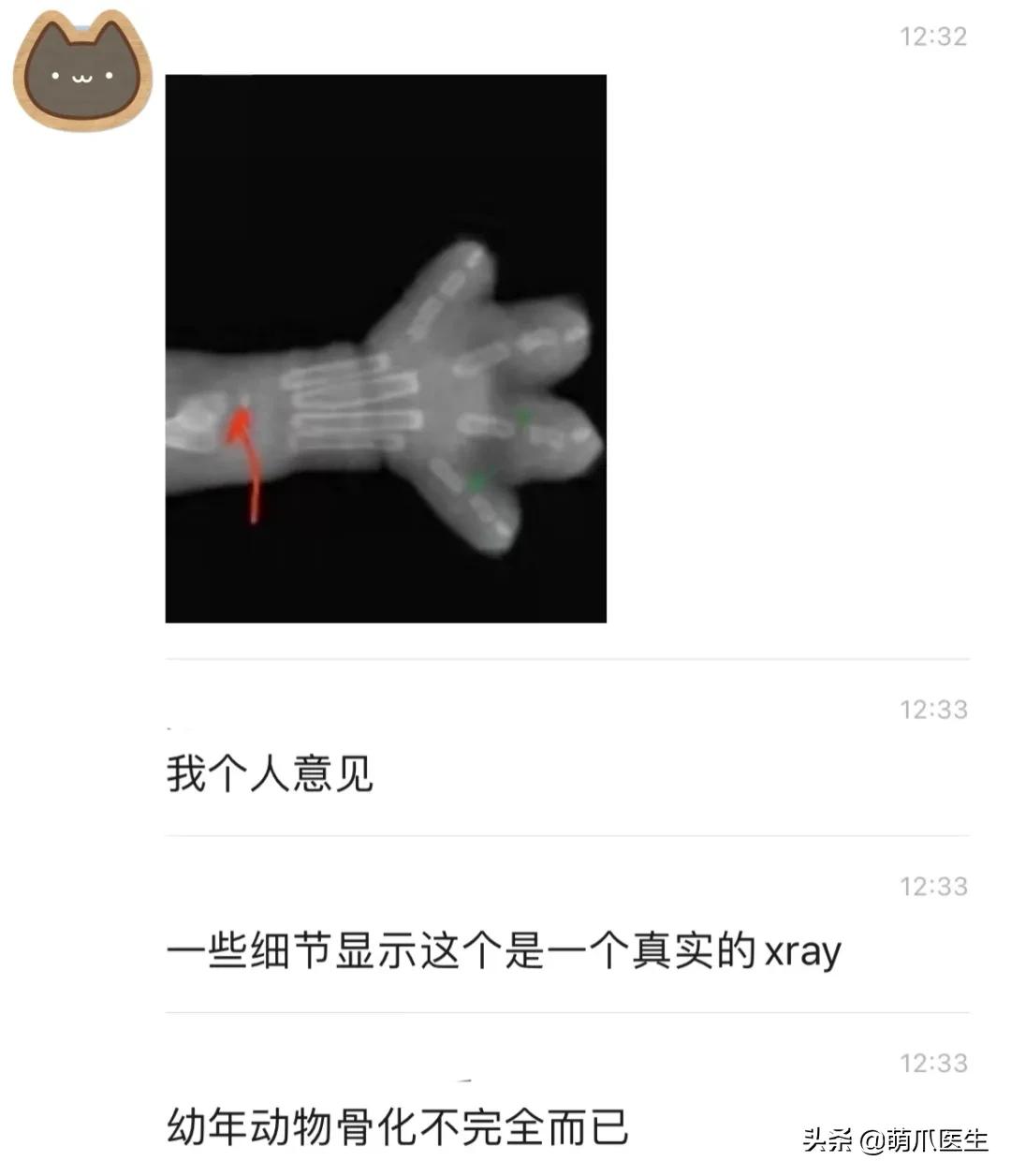 x光猫爪辟谣,猫爪x光是真的吗