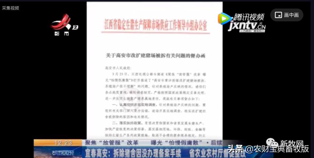 福建养猪场被强拆后续拆错了,江西养猪场被拆