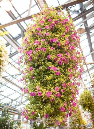 日本关西京都奈良旅游,日本关西自由行之奈良