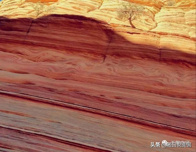 荒野乱斗流彩伊芙强度,荒野行动榴弹怎么用