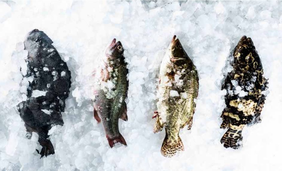 北京年夜饭十大招牌菜及价格,京城年夜饭哪家最好