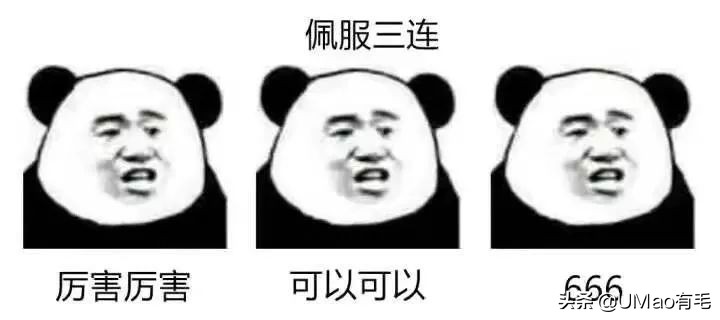 为啥猫猫拉完粑粑之后会疯跑,猫猫每次拉完屎就疯跑