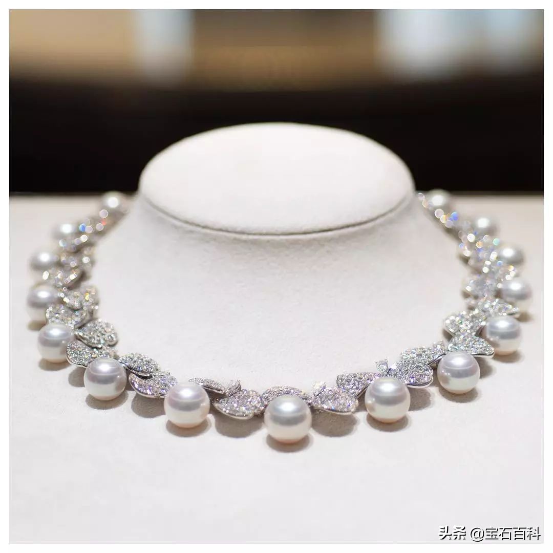 澳白珍珠和南洋金珍珠,澳白南洋白珍珠