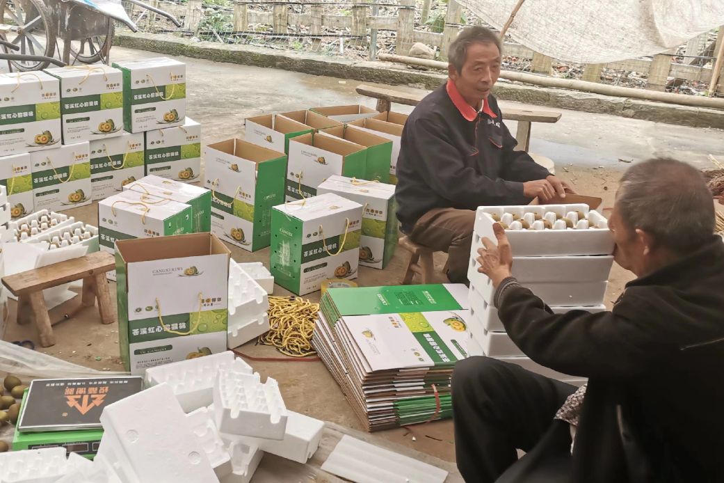 2020乡村振兴补贴新政策出台,乡村振兴2023最新政策解读