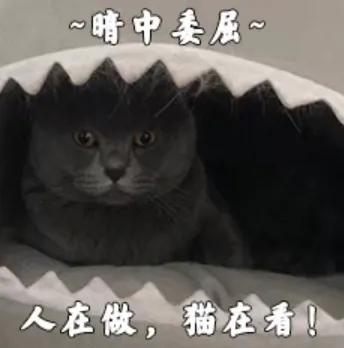 在重庆小面馆当了12小时的“丘二”后，告诉你月入数万的真相