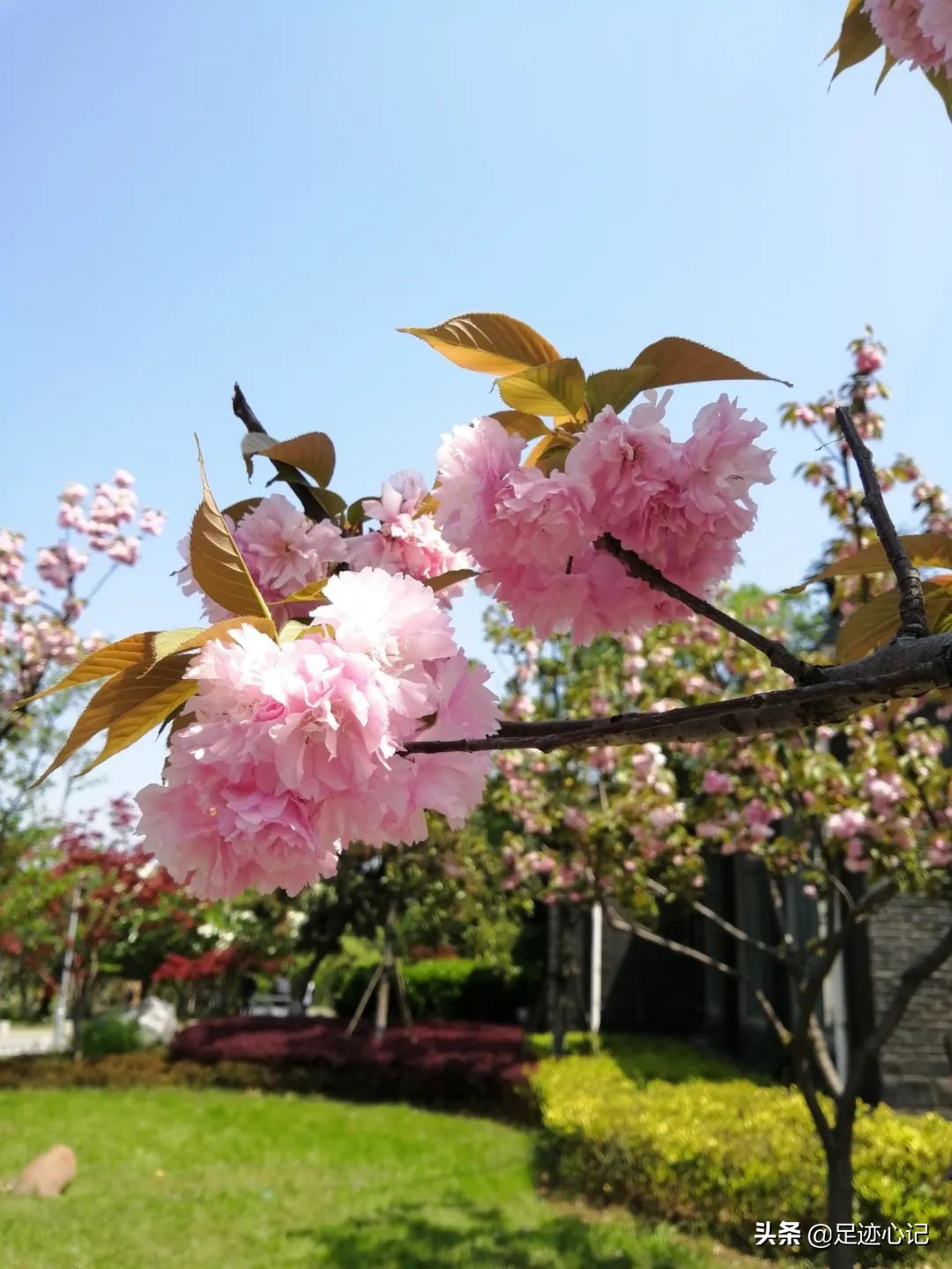 南京37度的天气适合去哪里玩,南京自由行攻略2日游