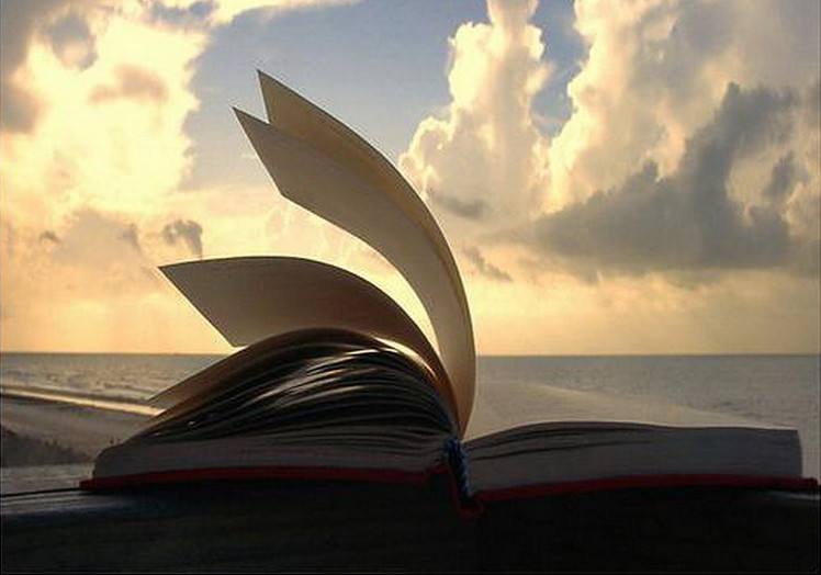 孤独亦是陪伴,孤独亦是享受