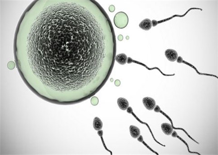 多久的精子不液化会导致不育,精子能正常液化会不育吗