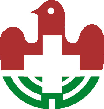 热烈祝贺市退役军人医院承办市头痛眩晕论坛暨市头痛中心揭牌仪式