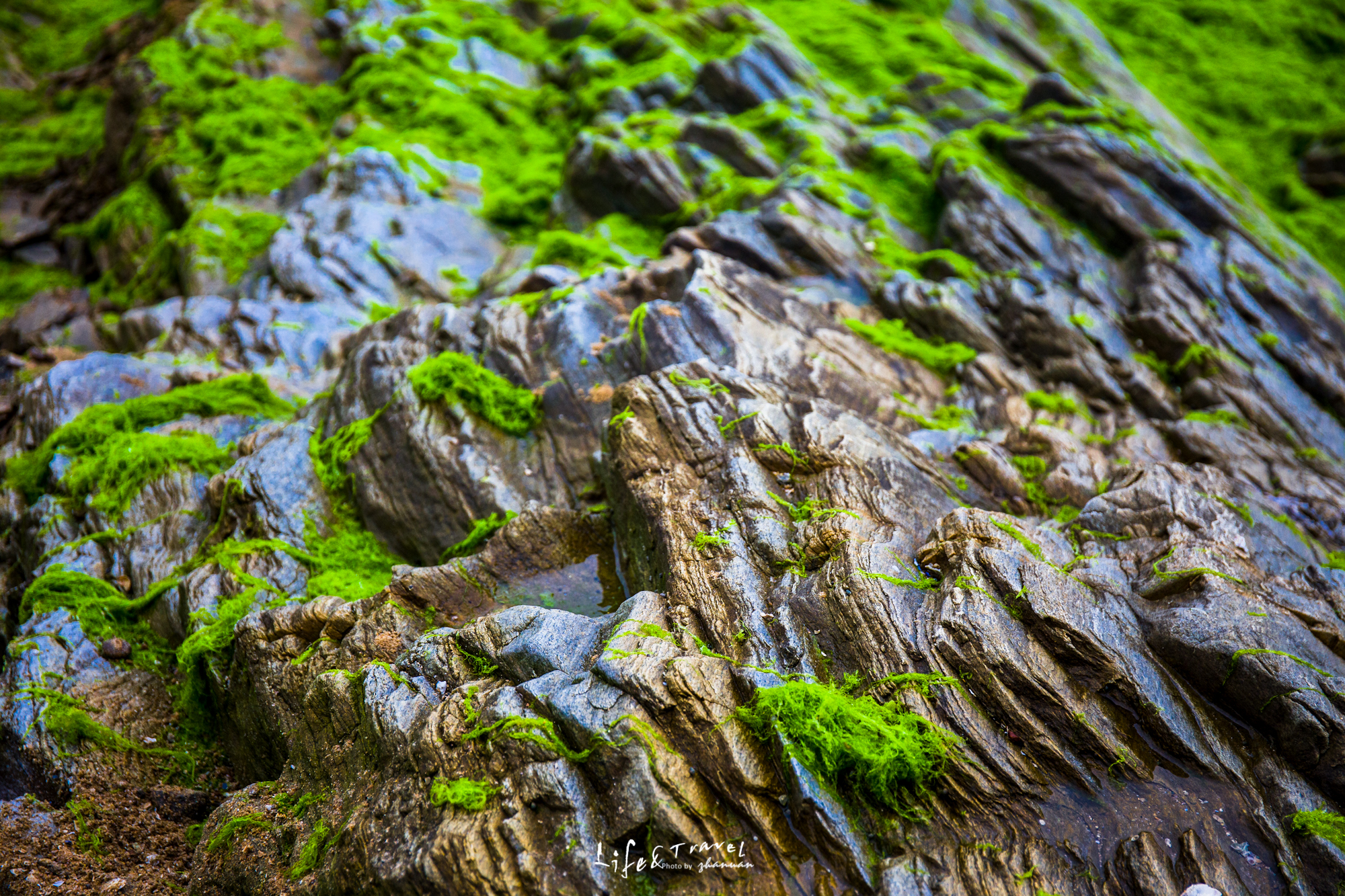 山东海滨之城是哪里,山东海滨城市景点
