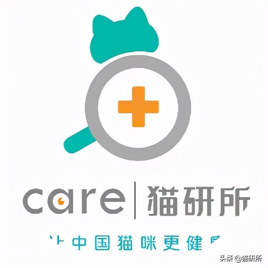 猫咪大部分是什么血型,猫咪的血型有哪几种